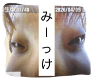 856640547