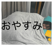 856640558