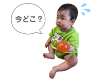 856641756