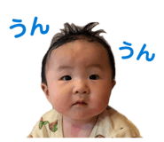856641773