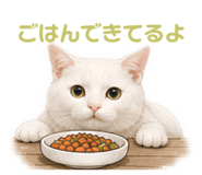 856654001