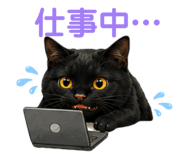 856654004