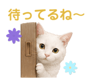 856654009