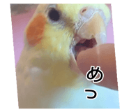 856654420