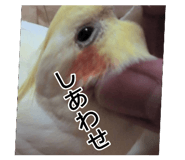 856654421
