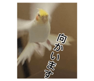 856654423
