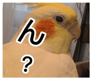 856654424