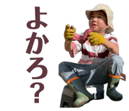 856654649