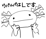 856654765