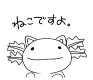 856654768
