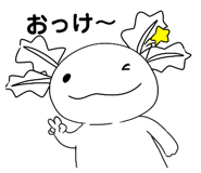 856654779