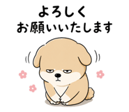 856654962
