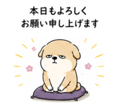 856654967