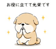 856654968