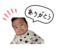 856655037