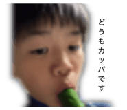 856655355