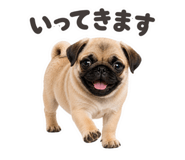 856655550
