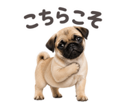 856655578