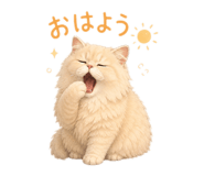 856655697