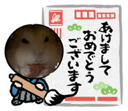 856656241