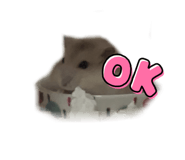 856656242
