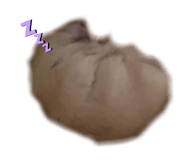 856656243
