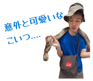 856656644