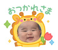 856656729