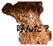 856656753