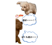856656757