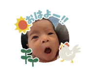 856656807