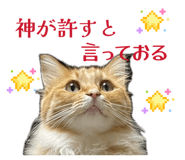 856656994