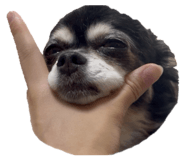 856657329