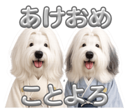 856657430