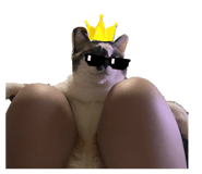 856657462