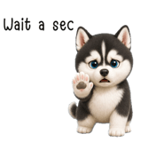 856659795
