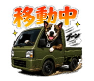 856664135