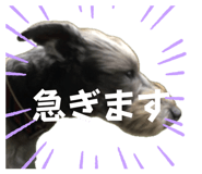 856664805