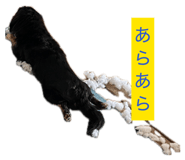 856665136