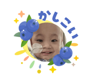 856665498