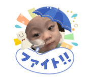856665502