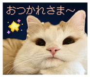 856665649