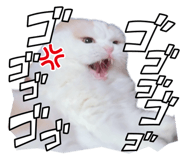 856665657