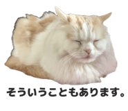 856665658