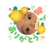 856665953