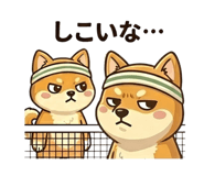856666029