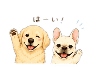 856666204