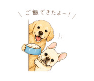 856666211