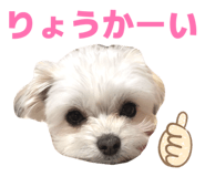 856666339