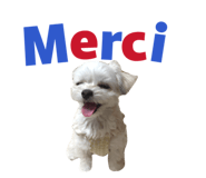 856666340